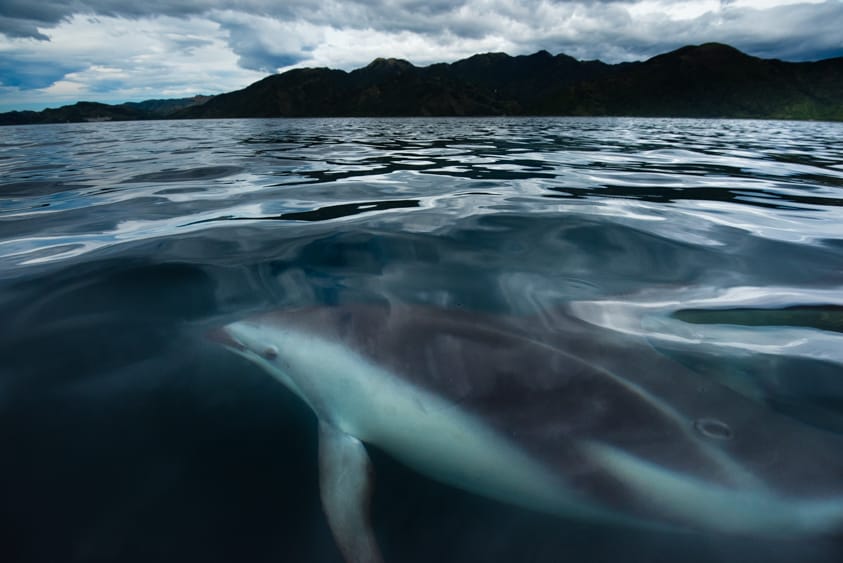 Photograph by Michael Melford