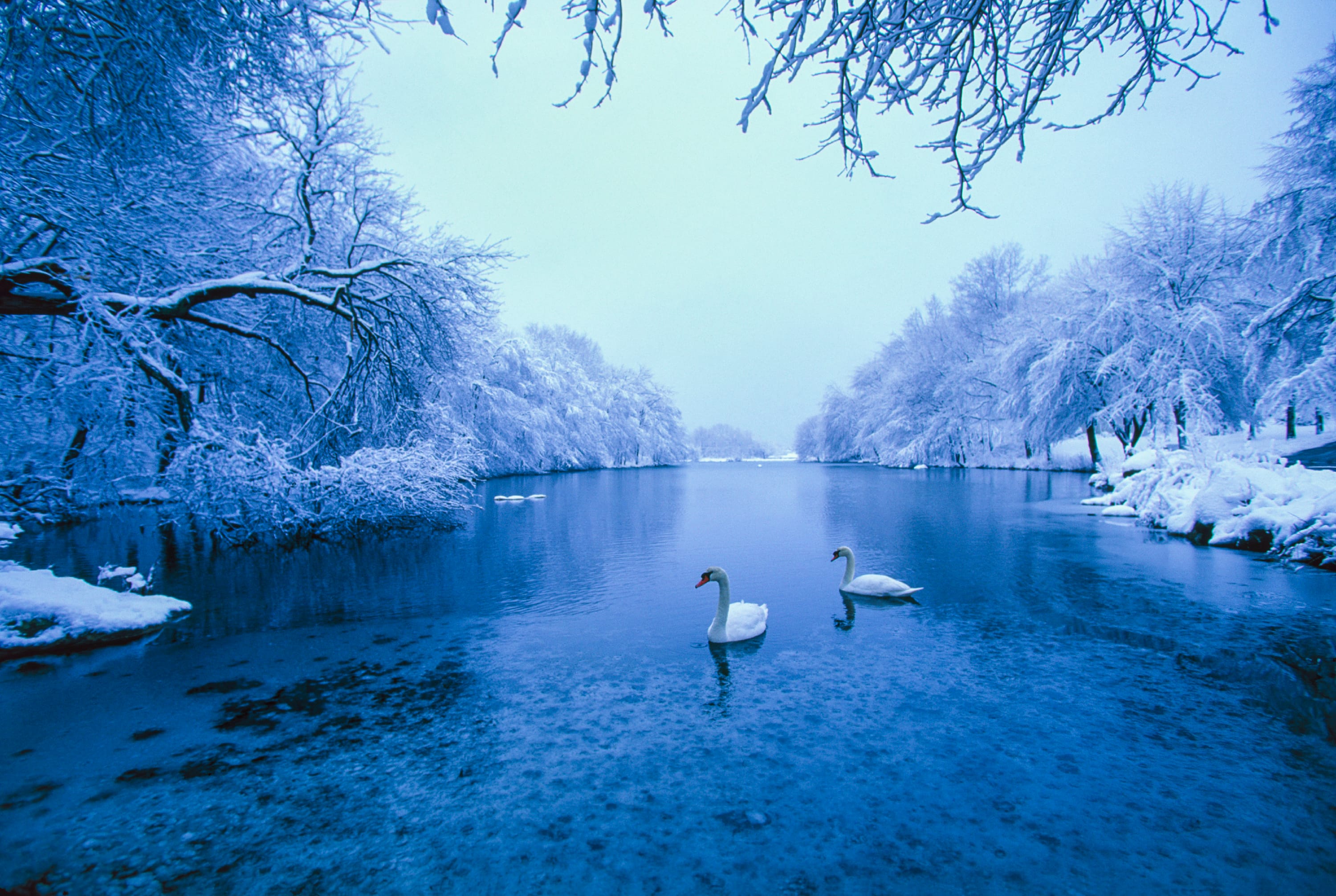 Ice Pond