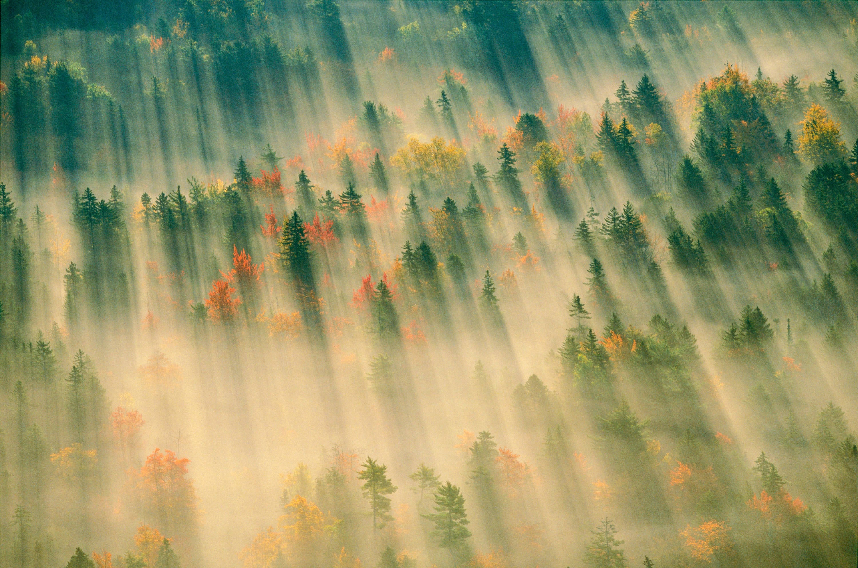 Photograph by Michael Melford