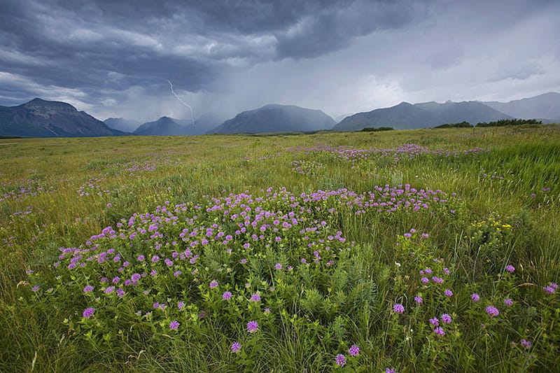 Glacier National Park: Crown of the Continent 3