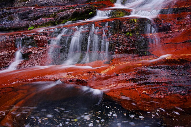 Glacier National Park: Crown of the Continent 4