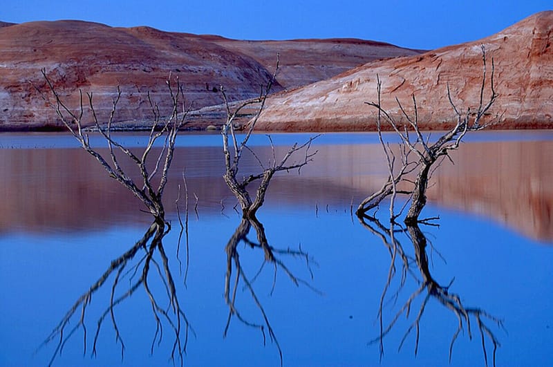 Glen Canyon Revealed 3
