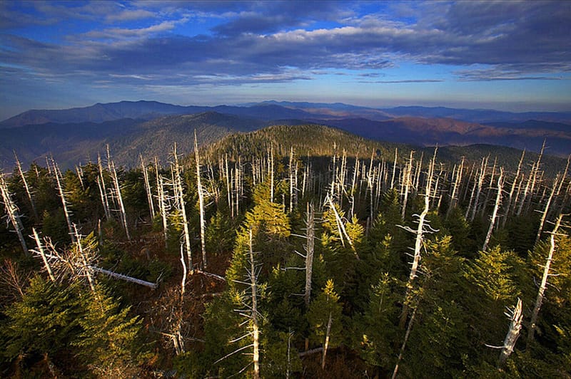 Places We Must Save: Our National Parks in Peril 2