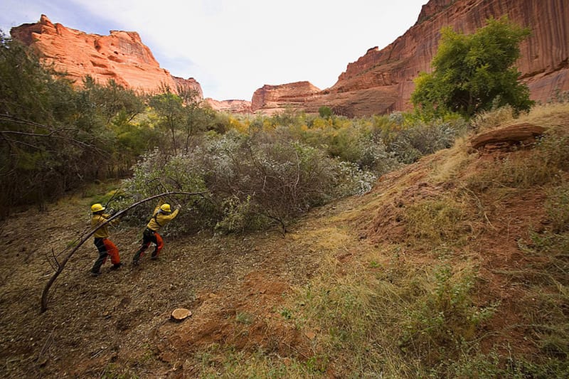 Places We Must Save: Our National Parks in Peril 13