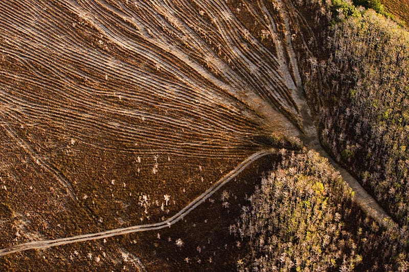 Places We Must Save: Our National Parks in Peril 17