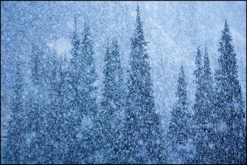 Selected Work 18